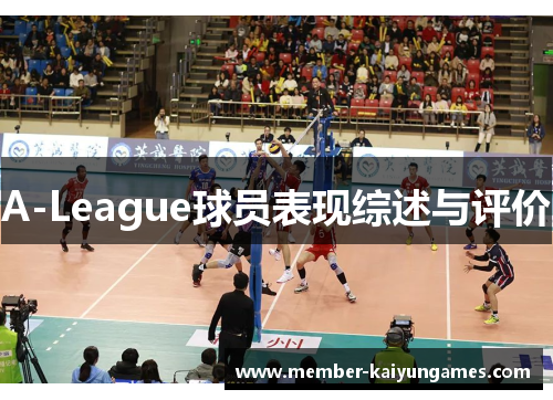 A-League球员表现综述与评价