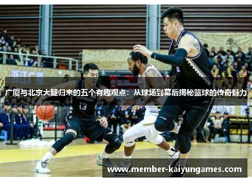 广厦与北京大腿归来的五个有趣观点：从球场到幕后揭秘篮球的传奇魅力