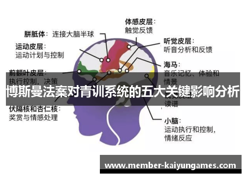 博斯曼法案对青训系统的五大关键影响分析