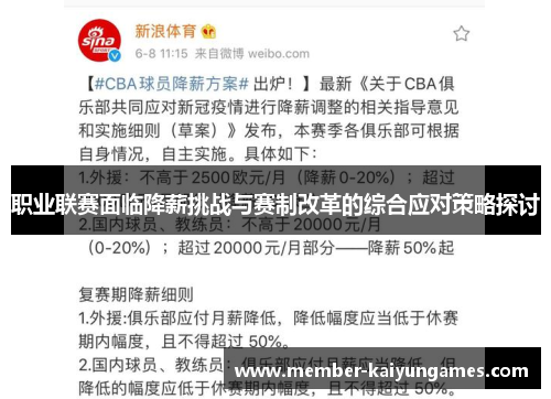 职业联赛面临降薪挑战与赛制改革的综合应对策略探讨
