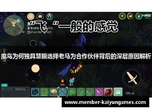 魔鸟为何独具慧眼选择老马为合作伙伴背后的深层原因解析