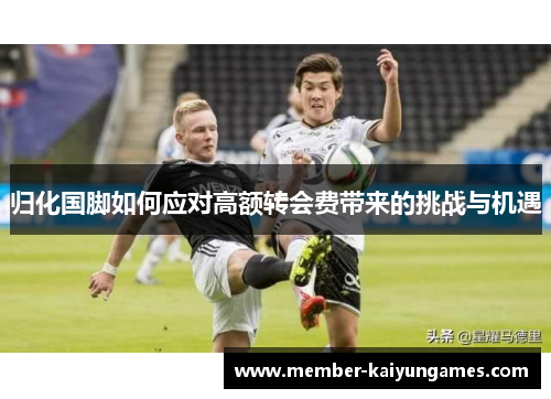 归化国脚如何应对高额转会费带来的挑战与机遇