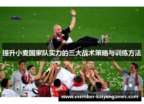 提升小麦国家队实力的三大战术策略与训练方法